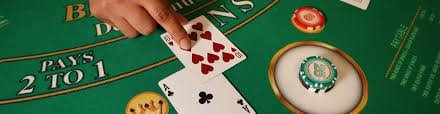 arjuna88.com betting interface showing Dragon, Tiger, and Tie selection with live payout multipliers